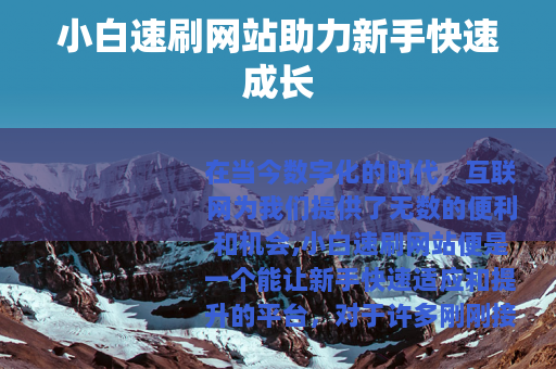 小白速刷网站助力新手快速成长