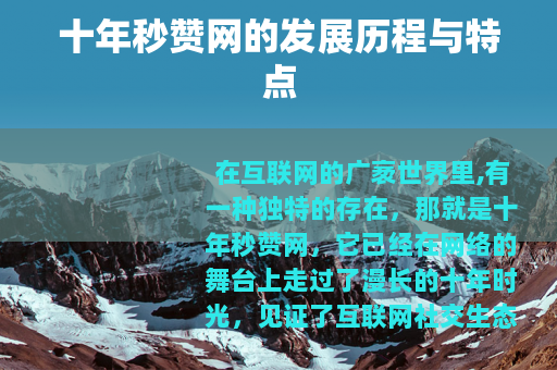 十年秒赞网的发展历程与特点