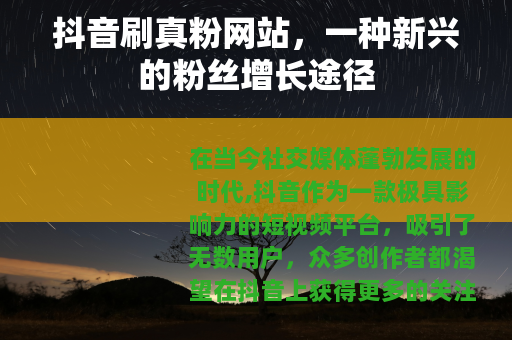抖音刷真粉网站，一种新兴的粉丝增长途径