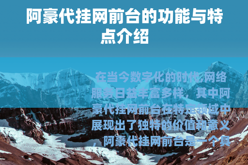 阿豪代挂网前台的功能与特点介绍