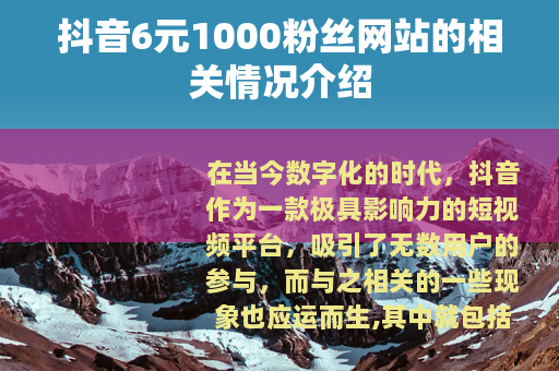 抖音6元1000粉丝网站的相关情况介绍
