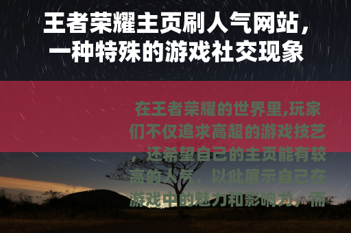 王者荣耀主页刷人气网站，一种特殊的游戏社交现象