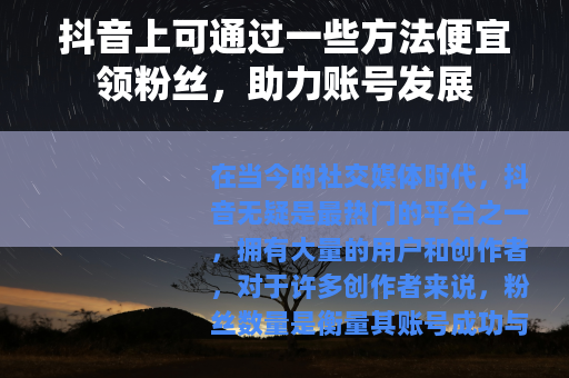 抖音上可通过一些方法便宜领粉丝，助力账号发展