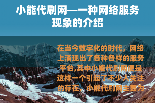 小能代刷网—一种网络服务现象的介绍
