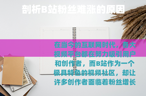 剖析B站粉丝难涨的原因