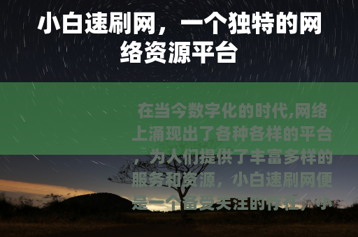 小白速刷网，一个独特的网络资源平台