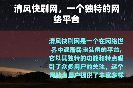 清风快刷网，一个独特的网络平台
