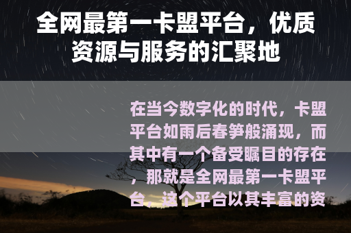 全网最第一卡盟平台，优质资源与服务的汇聚地