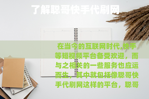 了解聪哥快手代刷网