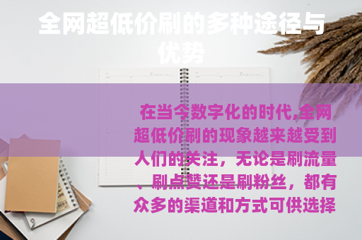 全网超低价刷的多种途径与优势