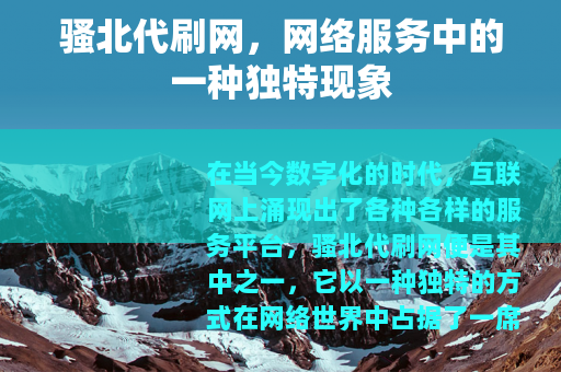 骚北代刷网，网络服务中的一种独特现象