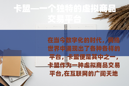 卡盟—一个独特的虚拟商品交易平台