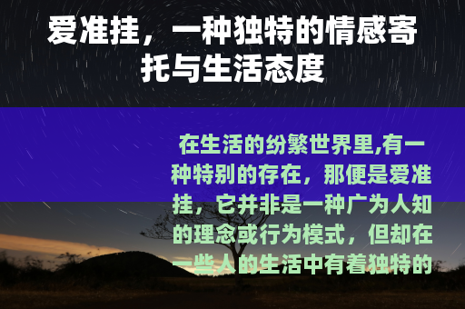 爱准挂，一种独特的情感寄托与生活态度