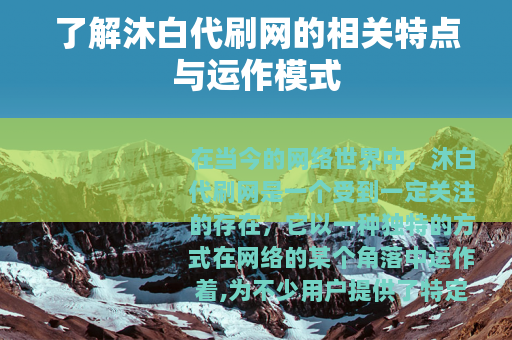 了解沐白代刷网的相关特点与运作模式