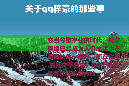 关于qq梓豪的那些事