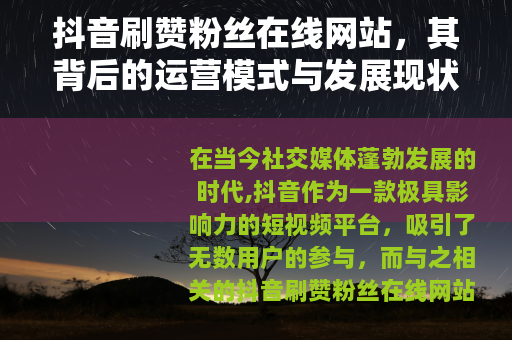 抖音刷赞粉丝在线网站，其背后的运营模式与发展现状