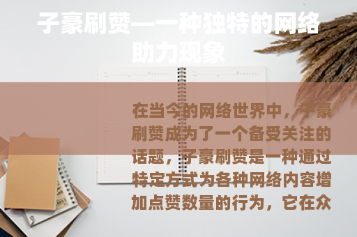 子豪刷赞—一种独特的网络助力现象