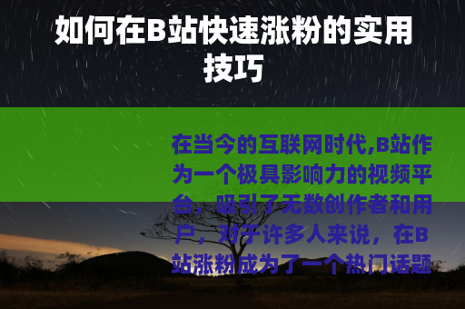 如何在B站快速涨粉的实用技巧