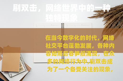 刷双击，网络世界中的一种独特现象