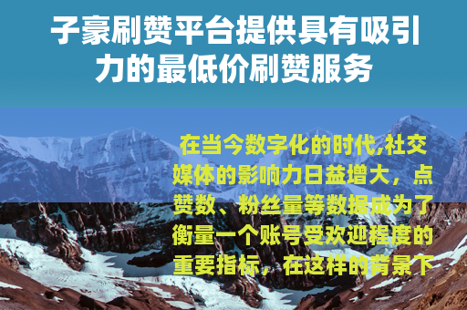 子豪刷赞平台提供具有吸引力的最低价刷赞服务