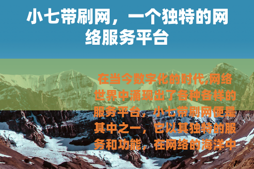 小七带刷网，一个独特的网络服务平台