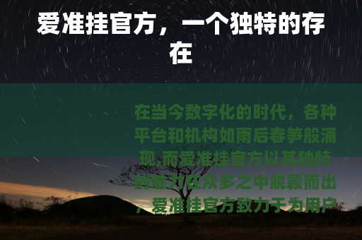 爱准挂官方，一个独特的存在