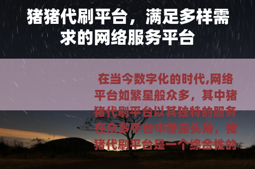 猪猪代刷平台，满足多样需求的网络服务平台