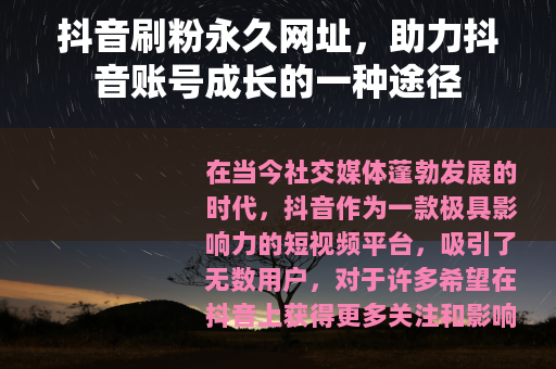 抖音刷粉永久网址，助力抖音账号成长的一种途径