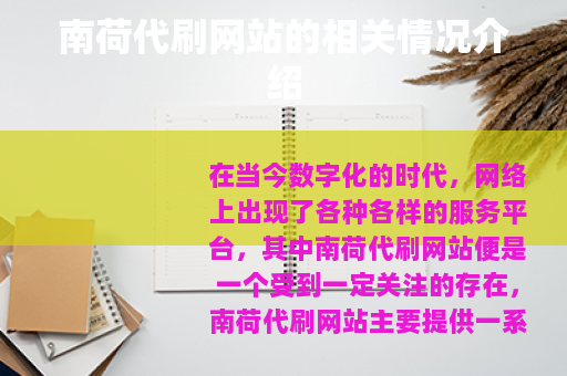南荷代刷网站的相关情况介绍