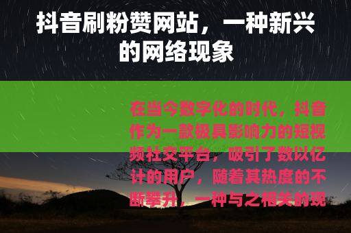 抖音刷粉赞网站，一种新兴的网络现象