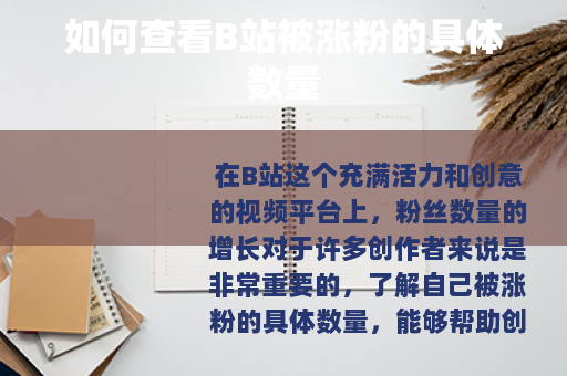如何查看B站被涨粉的具体数量