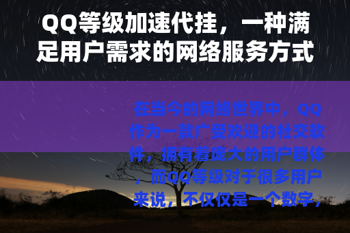 QQ等级加速代挂，一种满足用户需求的网络服务方式