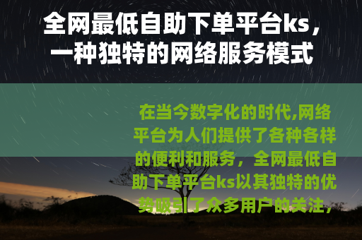 全网最低自助下单平台ks，一种独特的网络服务模式