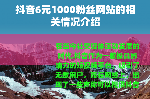 抖音6元1000粉丝网站的相关情况介绍