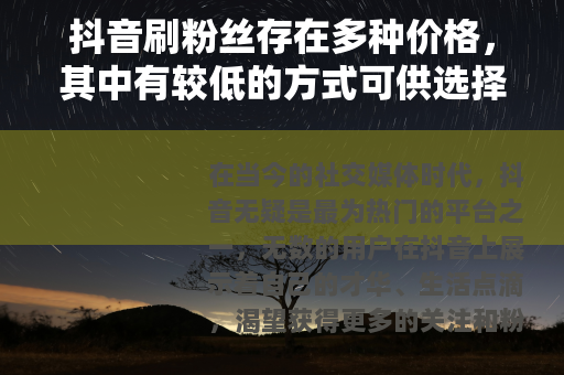 抖音刷粉丝存在多种价格，其中有较低的方式可供选择