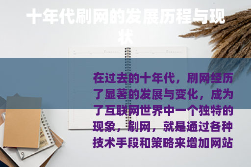 十年代刷网的发展历程与现状