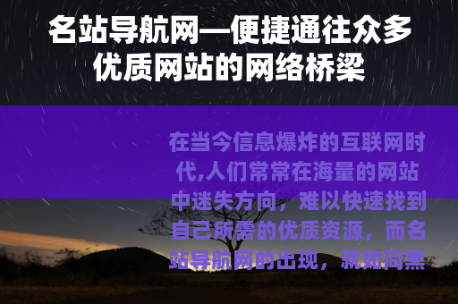 名站导航网—便捷通往众多优质网站的网络桥梁