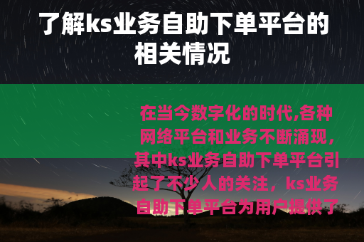 了解ks业务自助下单平台的相关情况