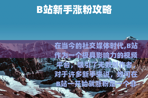 B站新手涨粉攻略