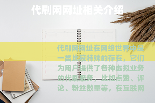 代刷网网址相关介绍