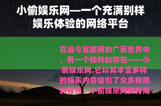 小偷娱乐网—一个充满别样娱乐体验的网络平台