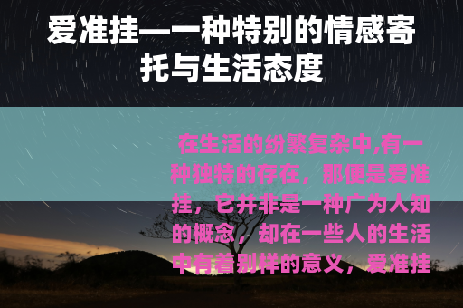 爱准挂—一种特别的情感寄托与生活态度