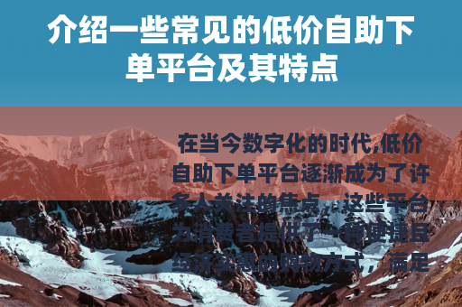 介绍一些常见的低价自助下单平台及其特点