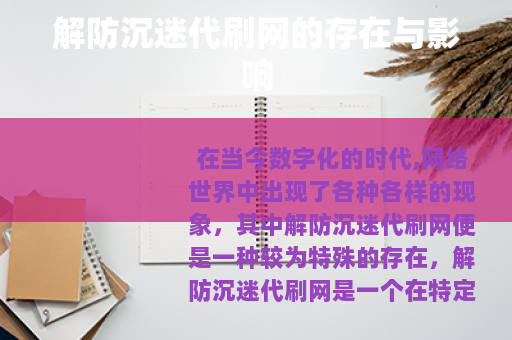解防沉迷代刷网的存在与影响