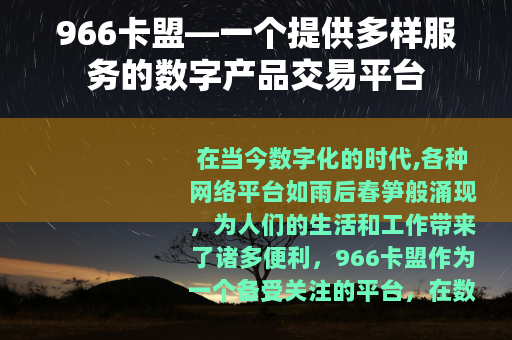966卡盟—一个提供多样服务的数字产品交易平台