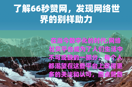 了解66秒赞网，发现网络世界的别样助力