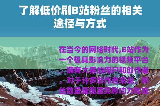 了解低价刷B站粉丝的相关途径与方式