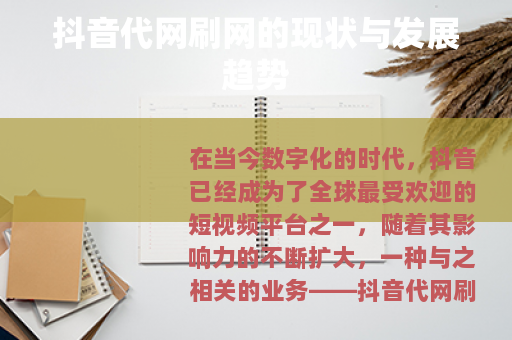 抖音代网刷网的现状与发展趋势