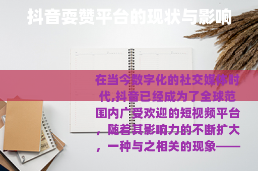 抖音耍赞平台的现状与影响