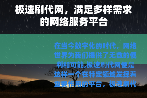 极速刷代网，满足多样需求的网络服务平台